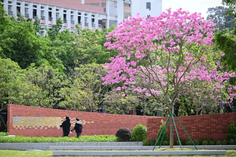 报告时间